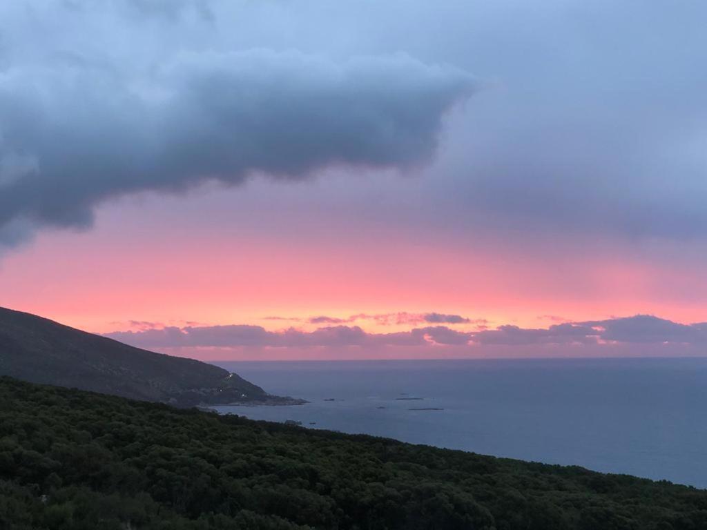 Camps Bay Blue Self-Catering Studios ケープタウン エクステリア 写真